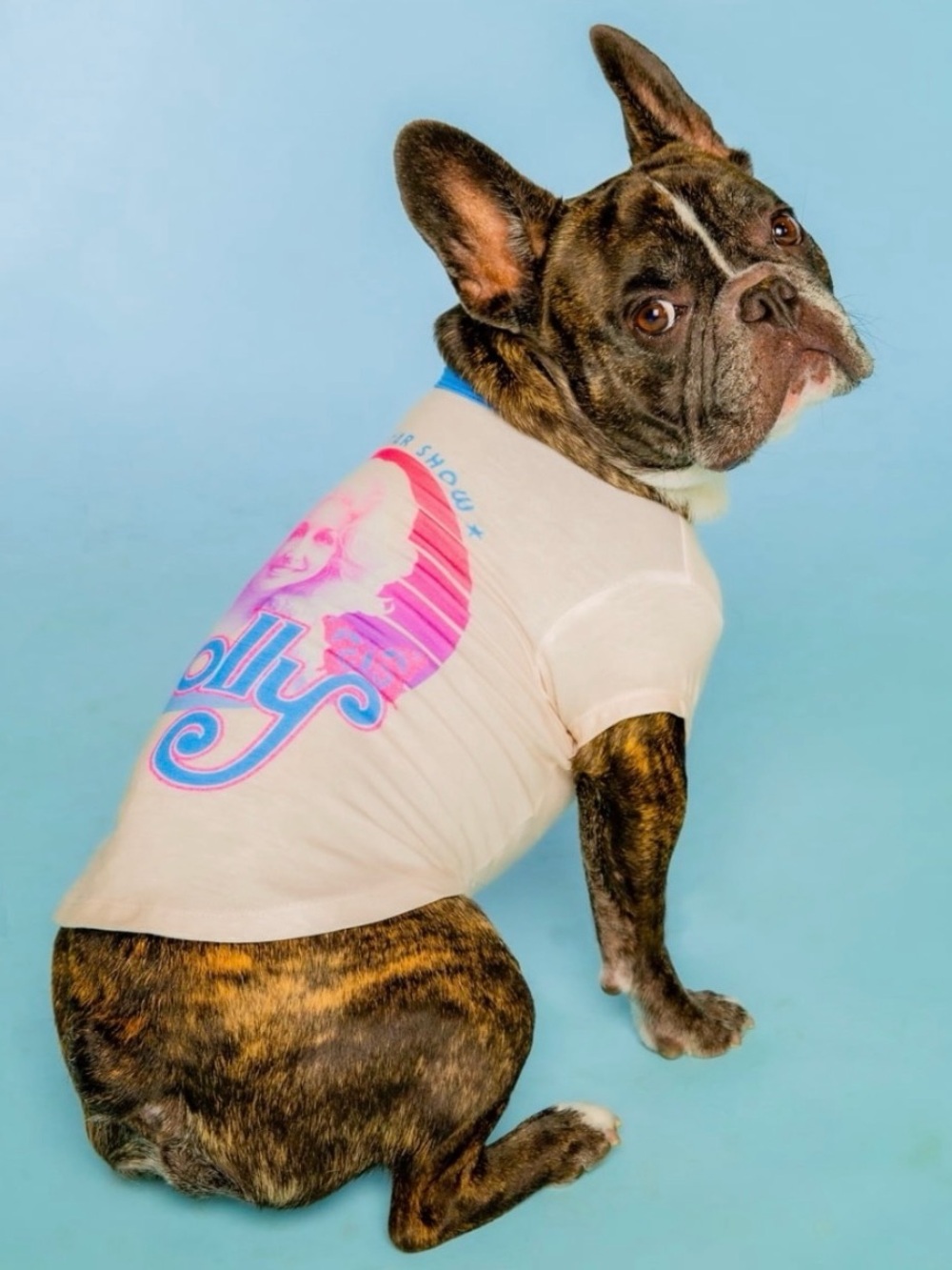 Doggy Parton, Dog Clothes, All-Star Show Dolly Dog T-Shirt, White, XS
